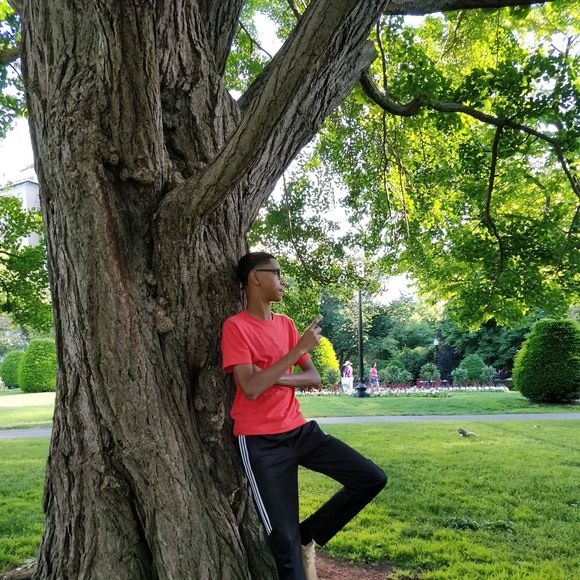 Meet your Posher, Mahmoud - Picture 1 of 1